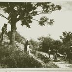 Aus dem Fotoalbum: "Antweiler 1906"