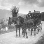 Aus dem Fotoalbum: Antweiler 1906:  Postkutsche Dümpelfeld-Blankenheim
