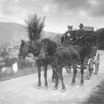 Aus dem Fotoalbum: Antweiler 1906:  Postkutsche Dümpelfeld-Blankenheim