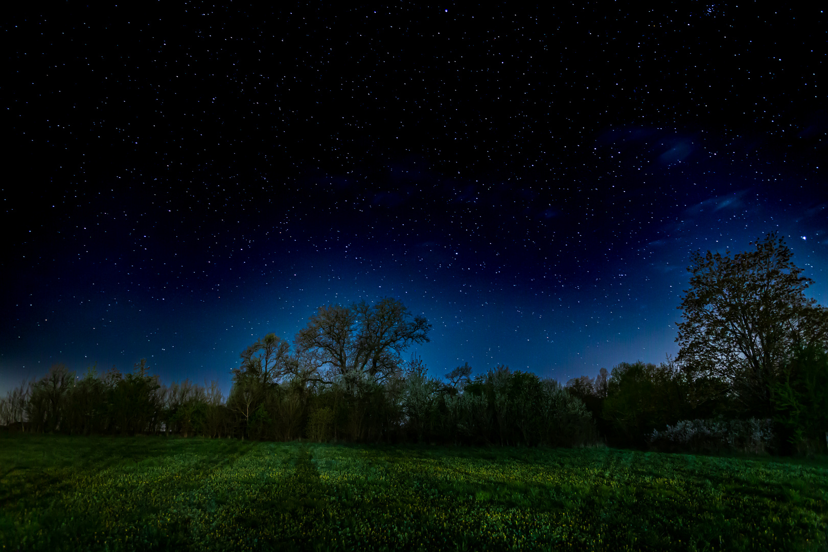 Aus dem Garten bei Nacht