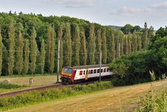 Aus dem Gebüsch