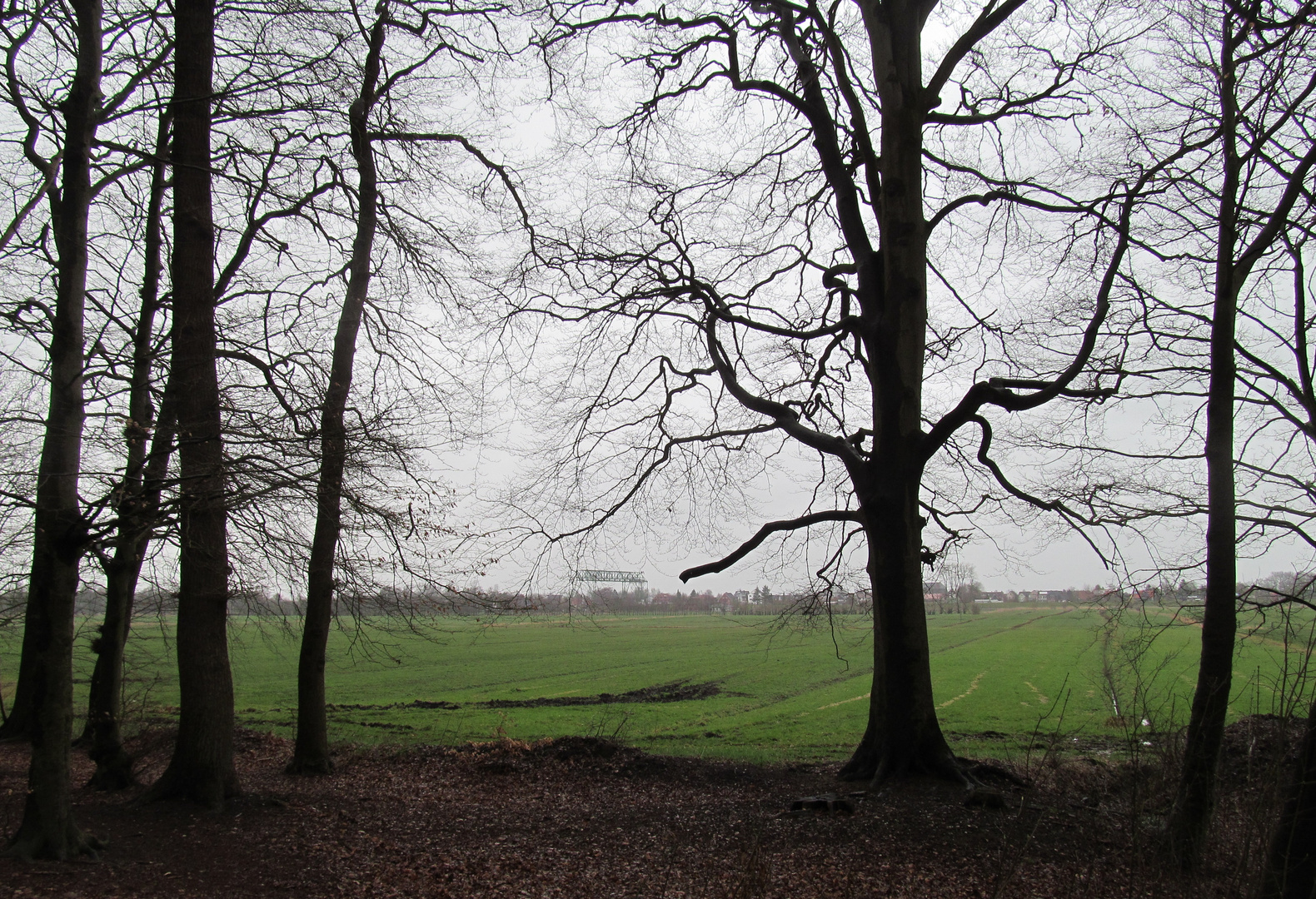 aus dem kleinen Wald über die Weiden geschaut .............