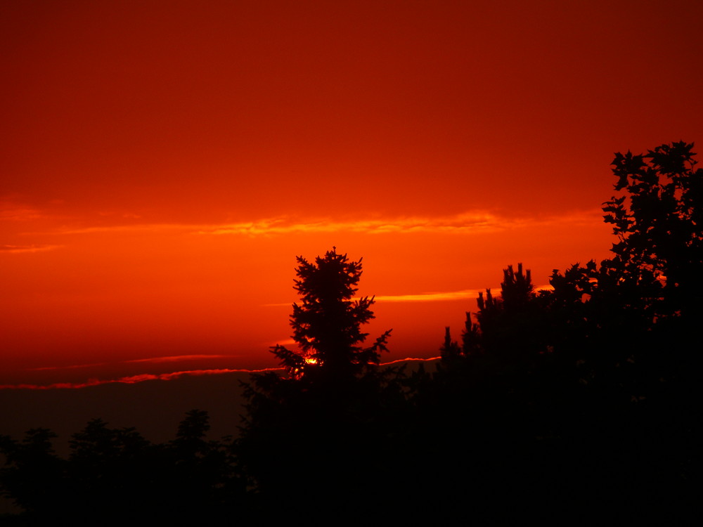 Aus dem Küchenfenster