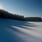 Aus dem langen Schatten