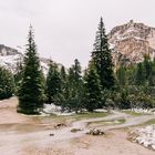 aus dem Langental Südtirol 1 2017