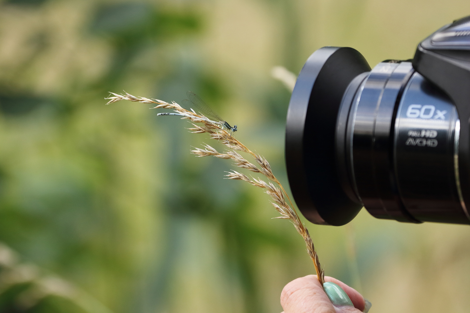 Aus dem Leben des Naturfotografen....