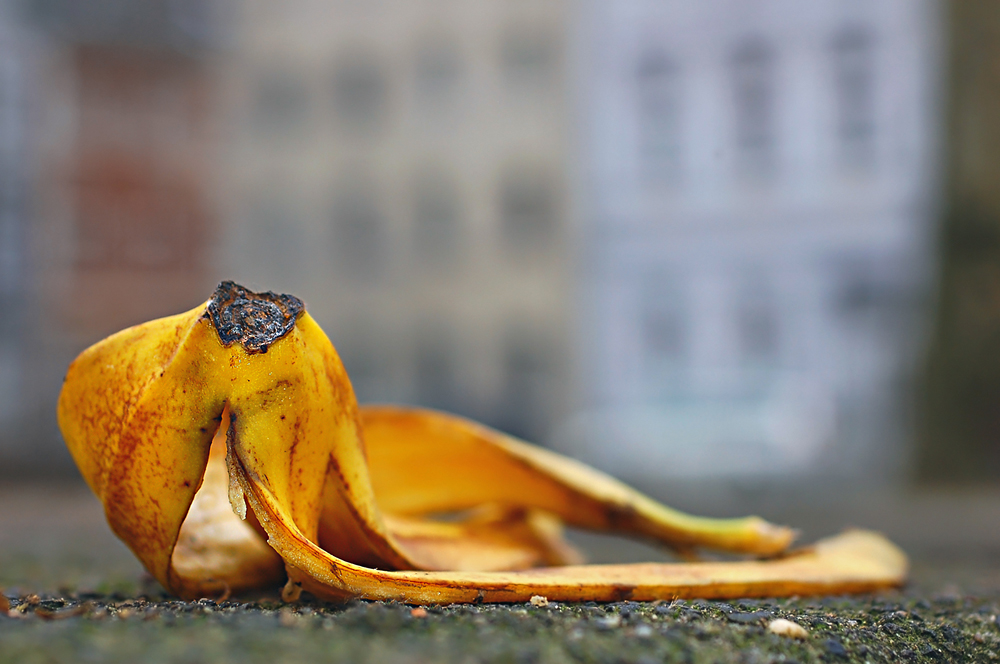 Aus dem Leben einer Banane