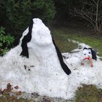 Aus dem Leben eines Schneemanns (5)