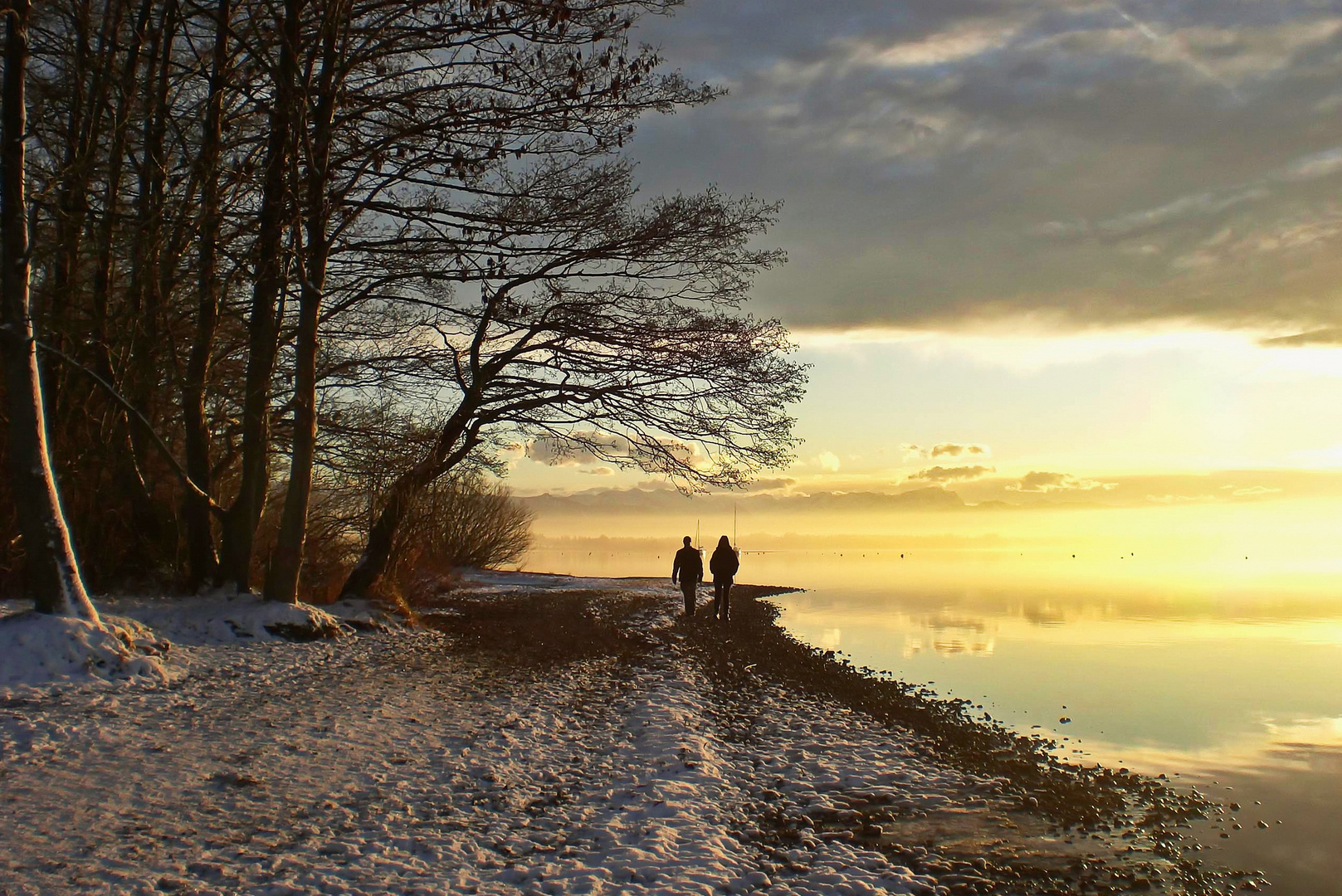 Aus dem Licht