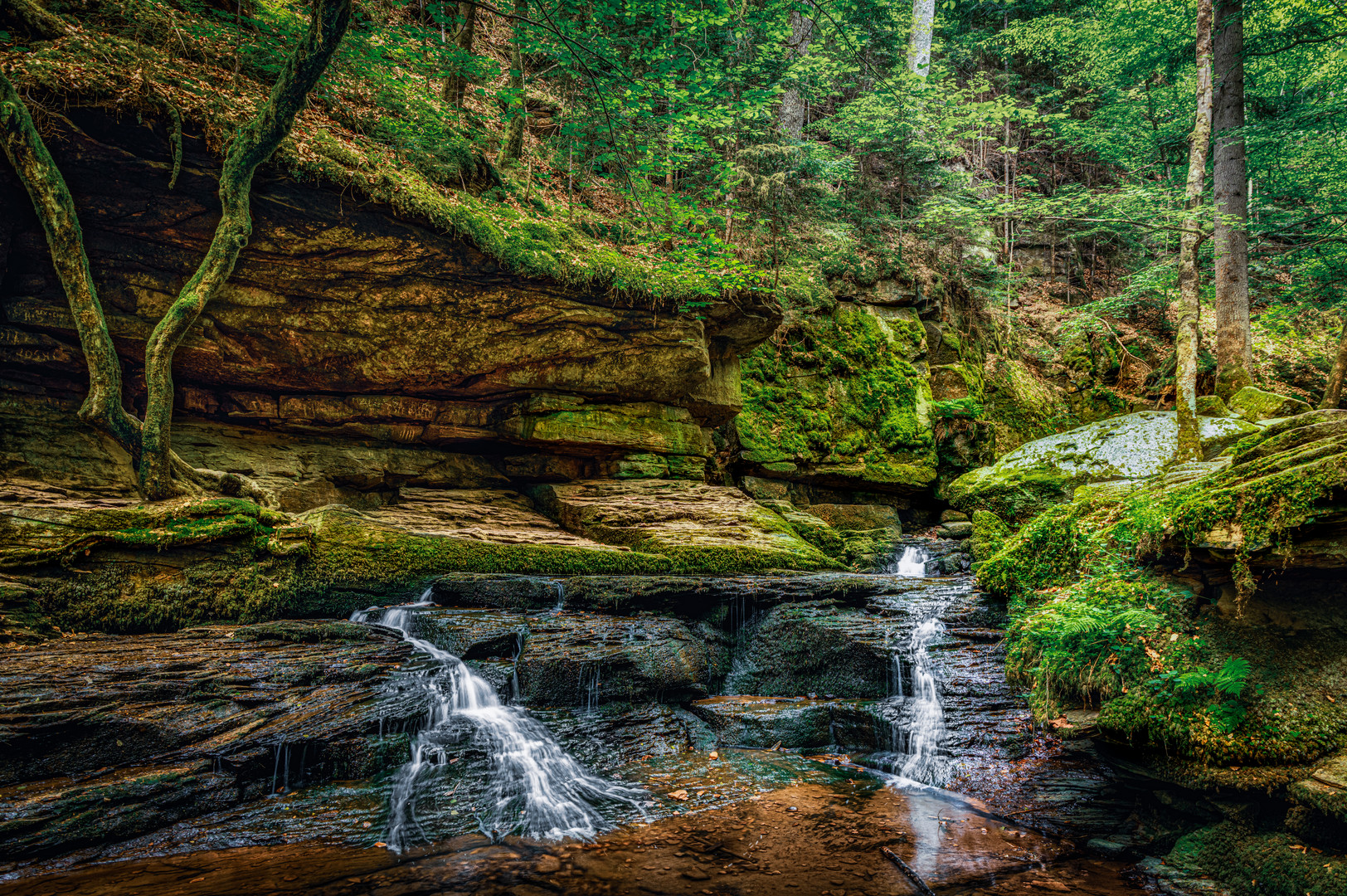 Aus dem Monbachtal