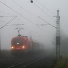 Aus dem Nebel