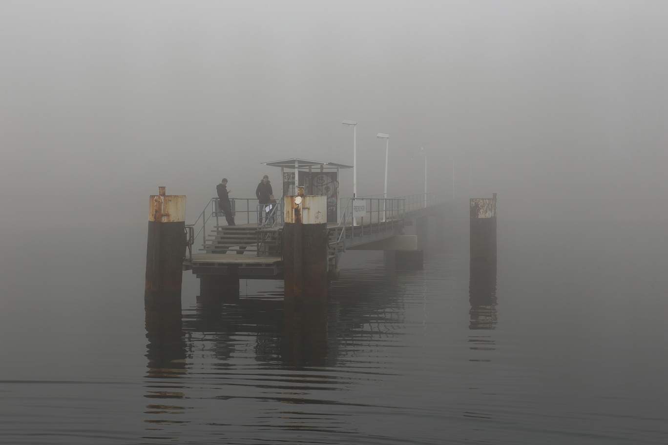 Aus dem Nebel