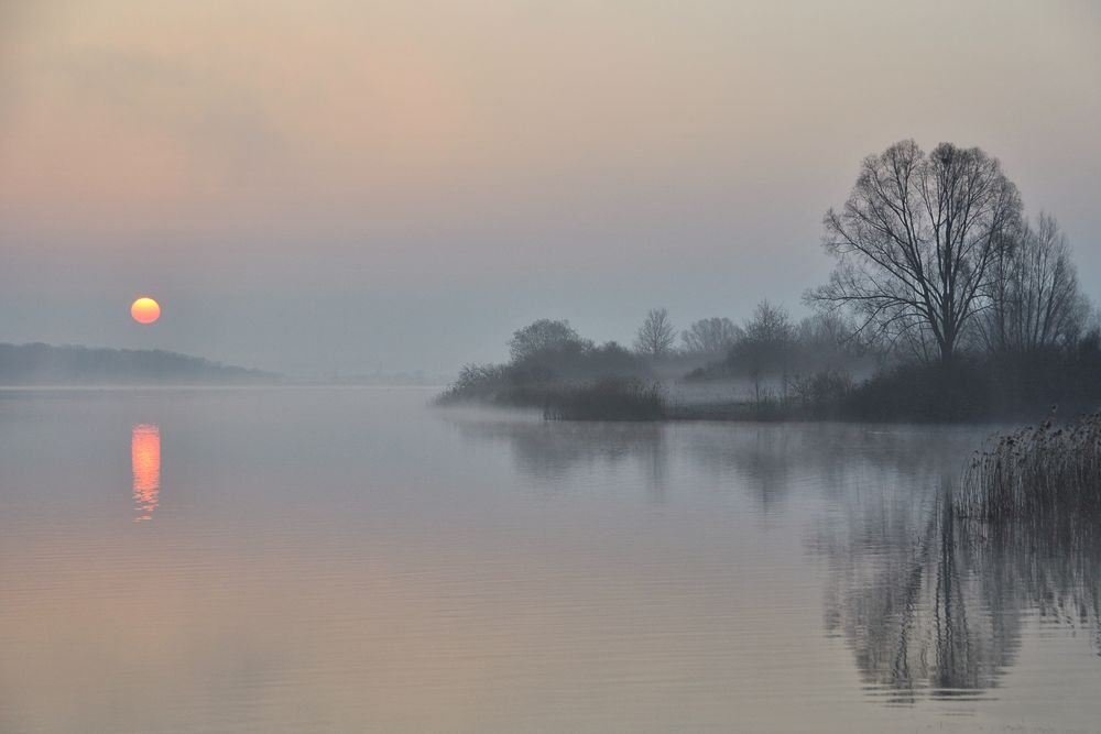 aus dem Nebel...