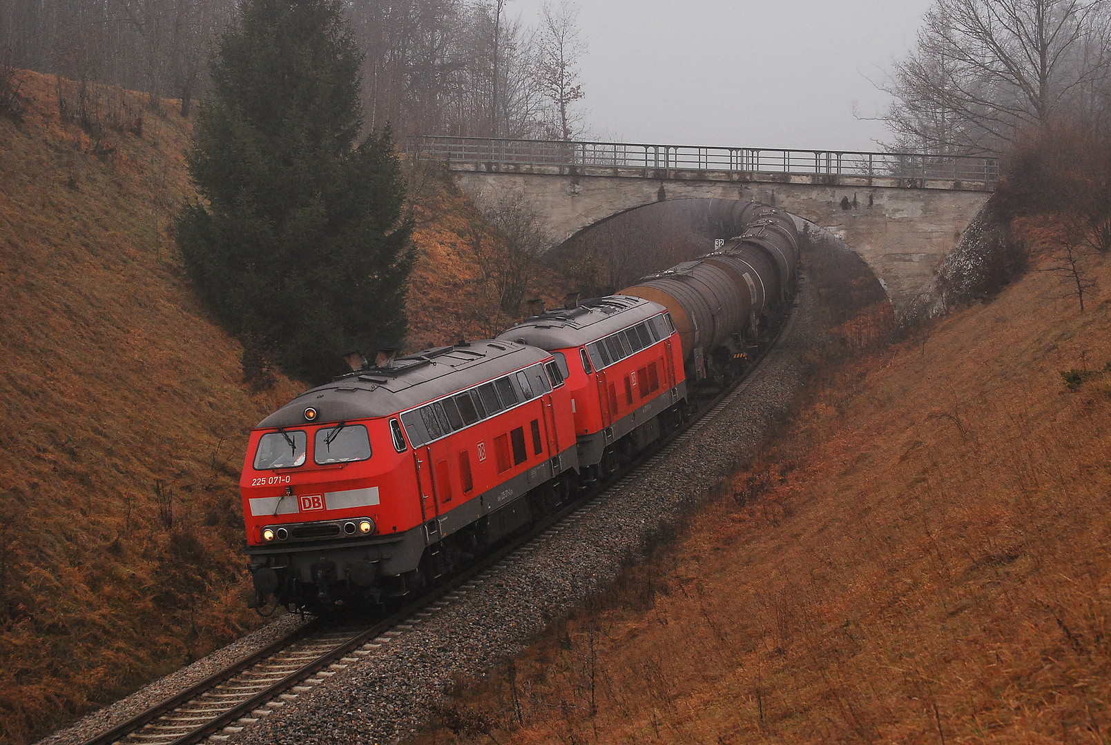 Aus dem Nebel