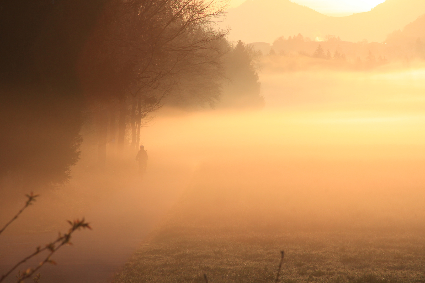 Aus dem Nebel