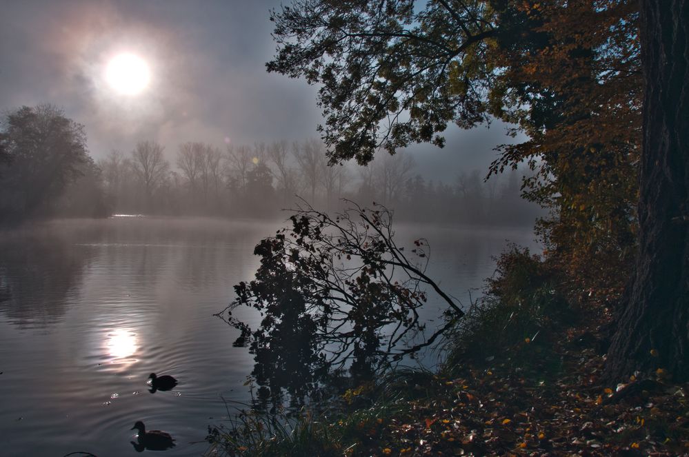 Aus dem Nebel