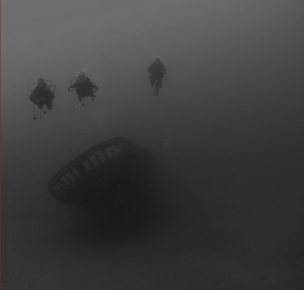 aus dem Nebel