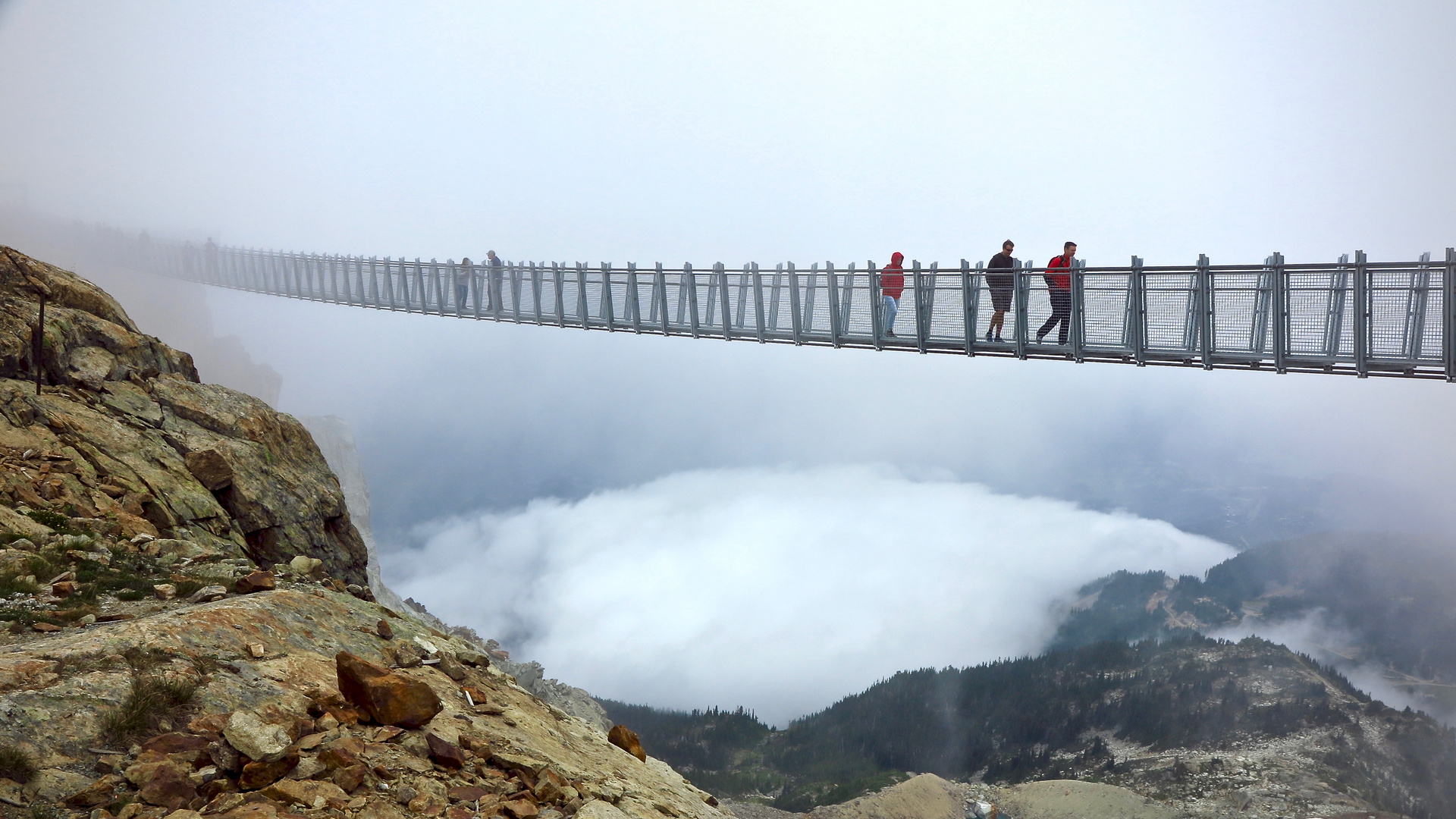 Aus dem Nebel