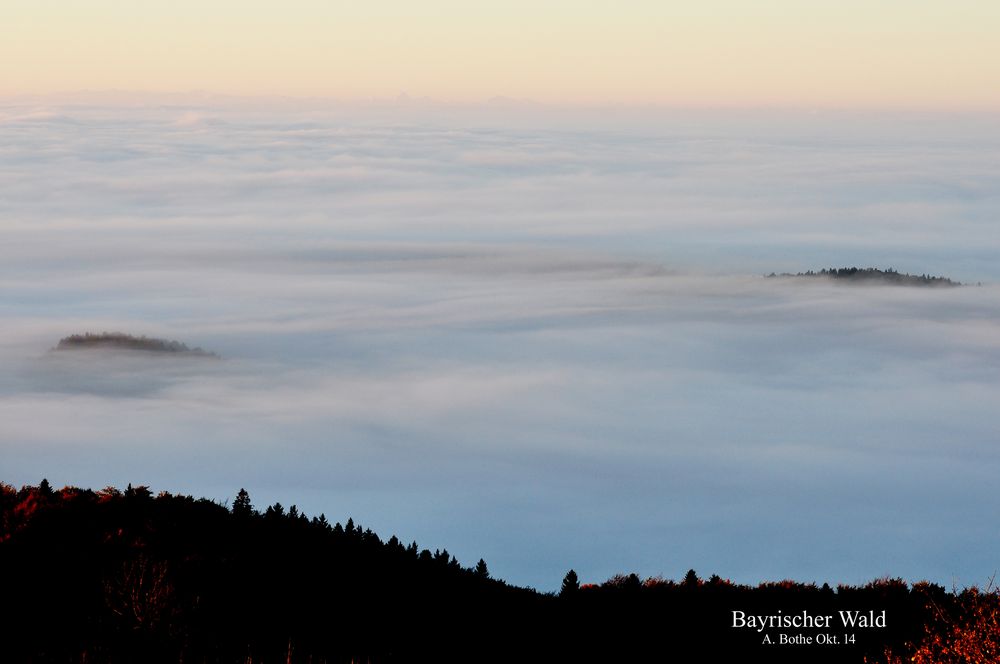 Aus dem Nebel