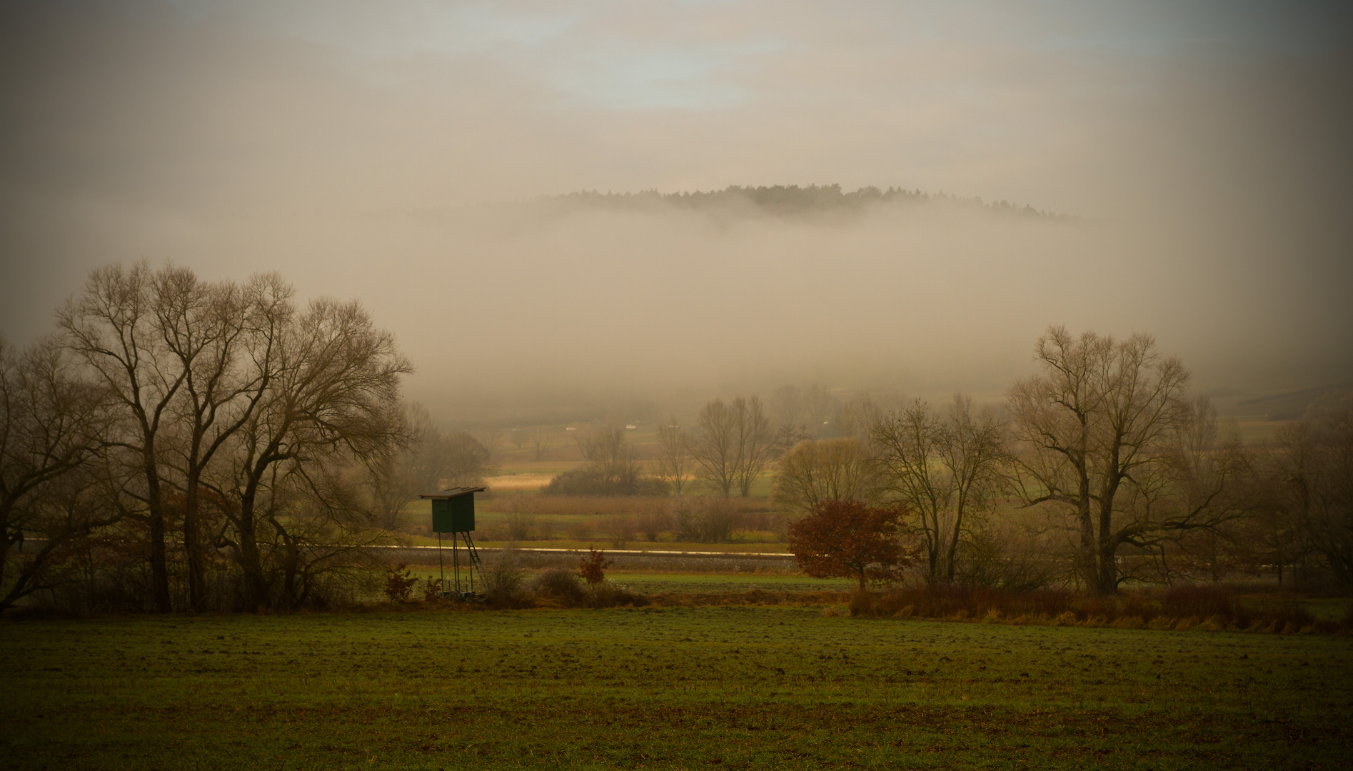 Aus dem Nebel