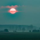 Aus dem Nebel auferstanden