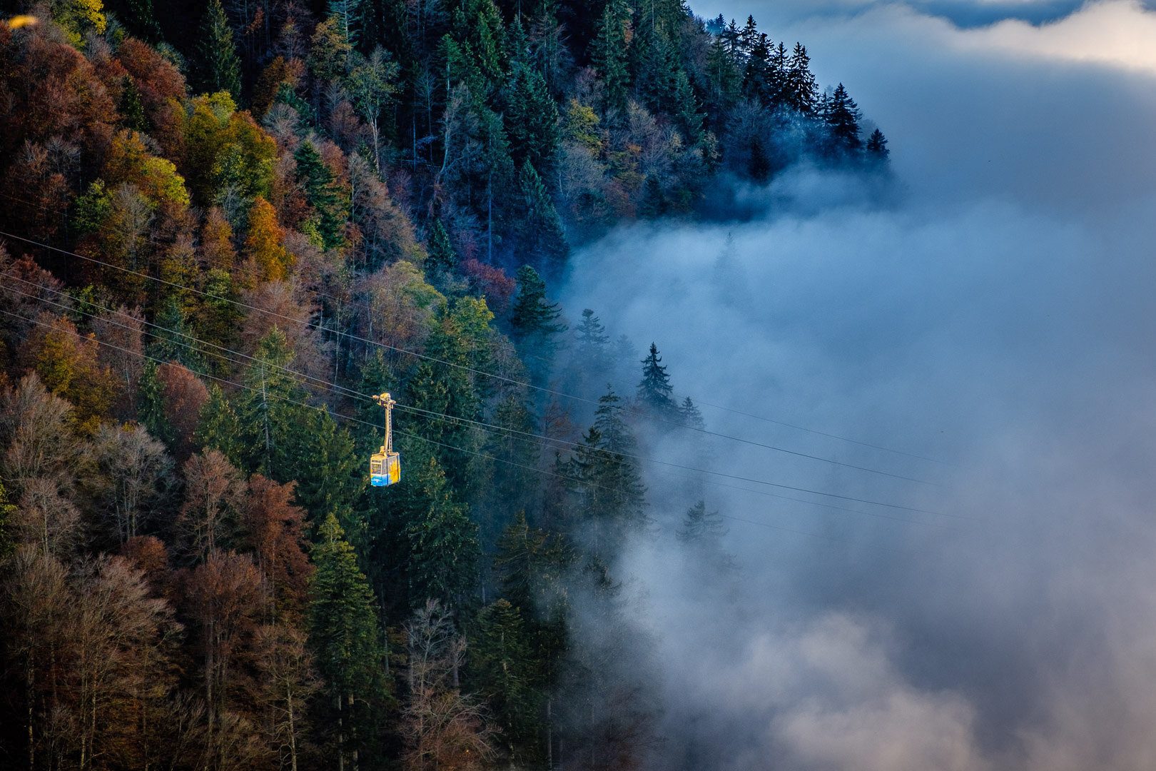 Aus dem Nebel