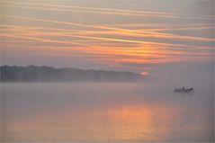 aus dem NEBEL....