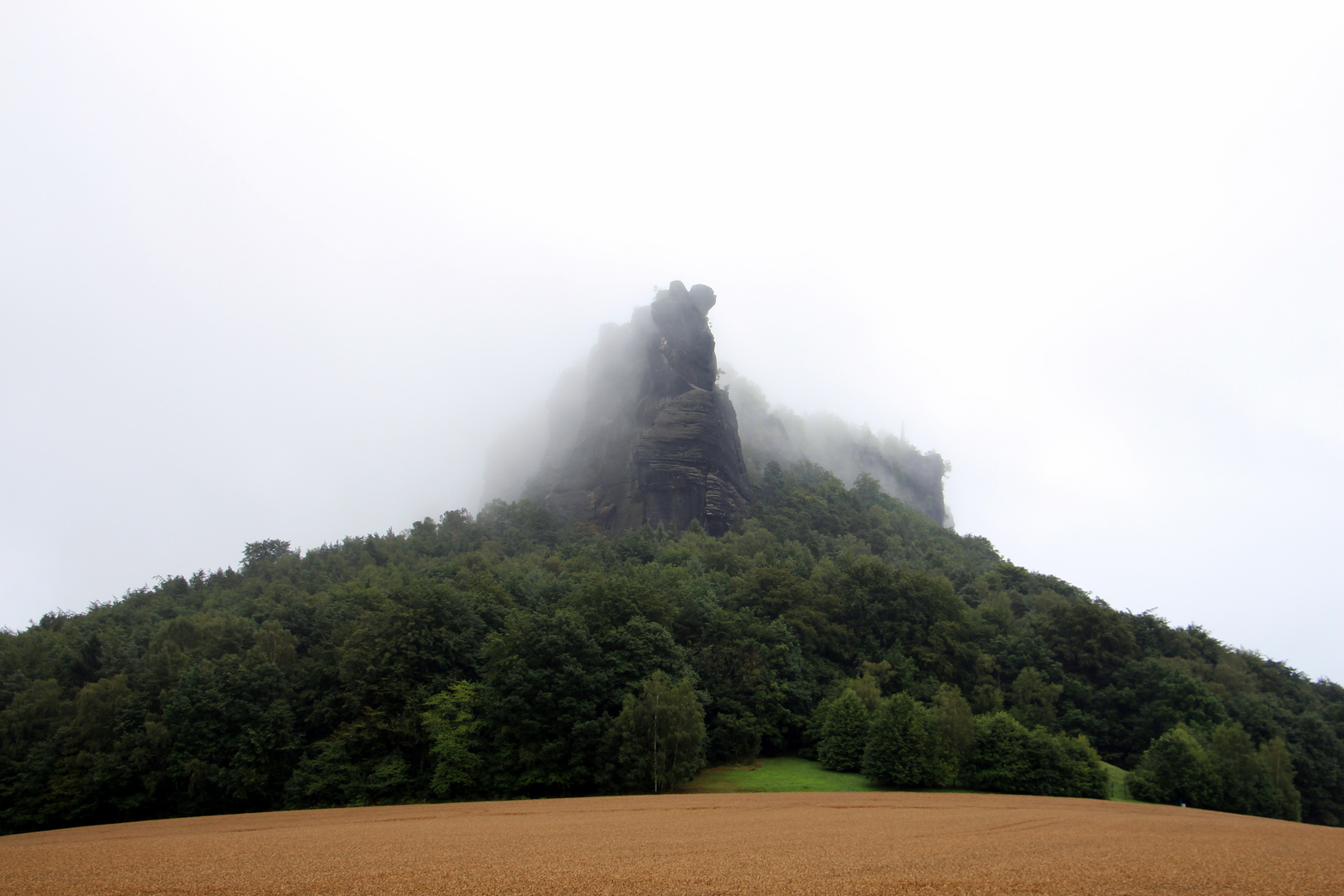 Aus dem Nebel