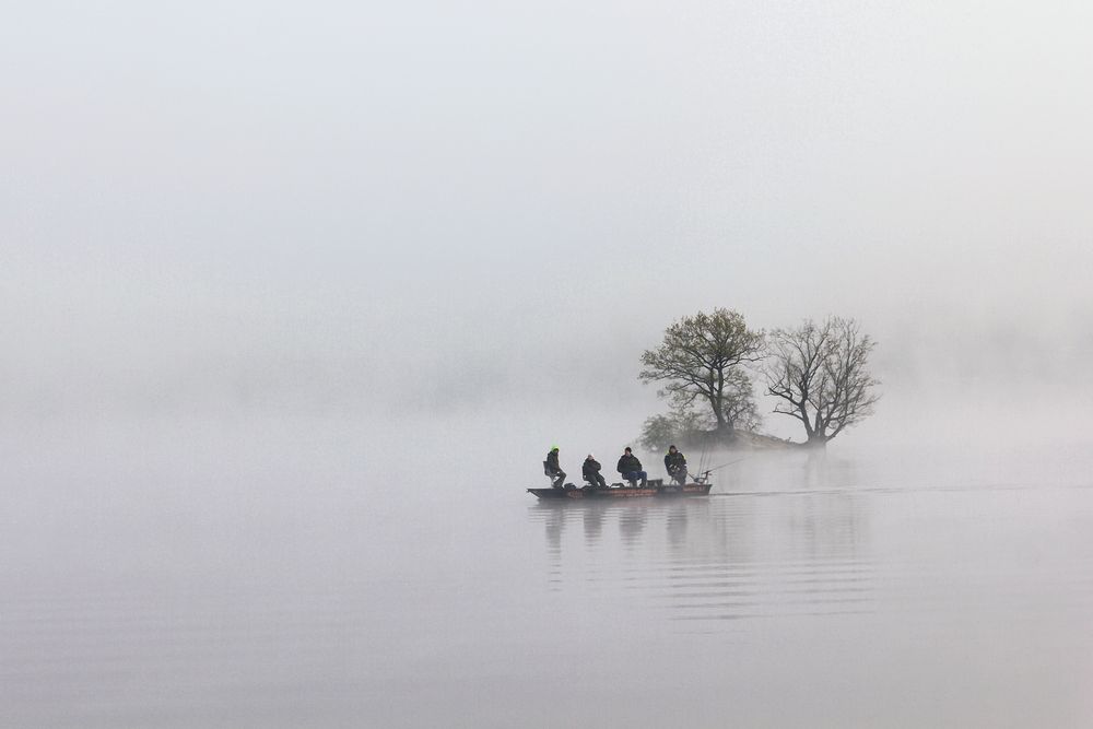 Aus dem Nebel heraus