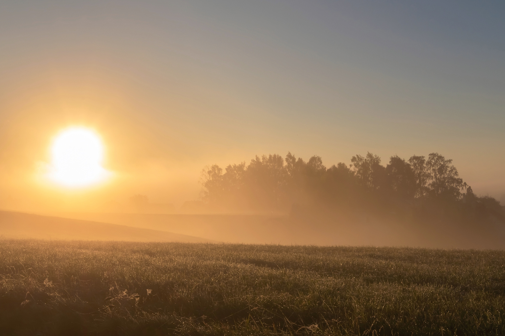 Aus dem Nebel heraus