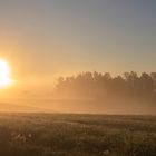 Aus dem Nebel heraus