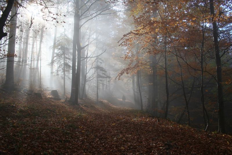 aus dem nebel in die sonne