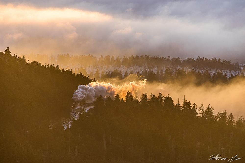 Aus dem Nebel ins Licht