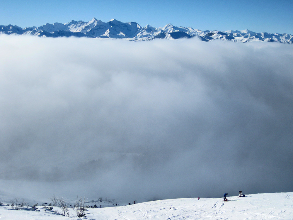 aus dem Nebel kommend