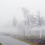 AUS DEM NEBEL KOMMEND RASTE SIE OHNE DURCHBLICK AM DONNERSTAG AUF MICH ZU