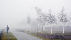 AUS DEM NEBEL KOMMEND RASTE SIE OHNE DURCHBLICK AM DONNERSTAG AUF MICH ZU