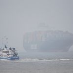 Aus dem Nebel kommt ein Containerschiff