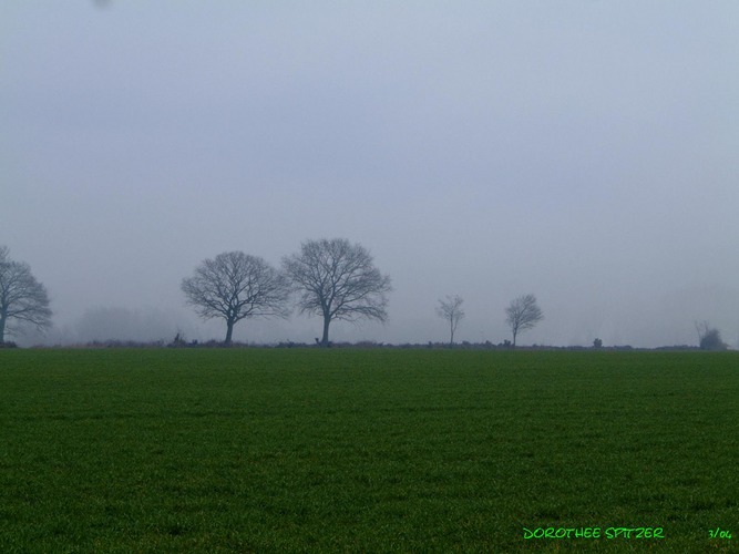 aus dem Nebel mühsam ins Licht