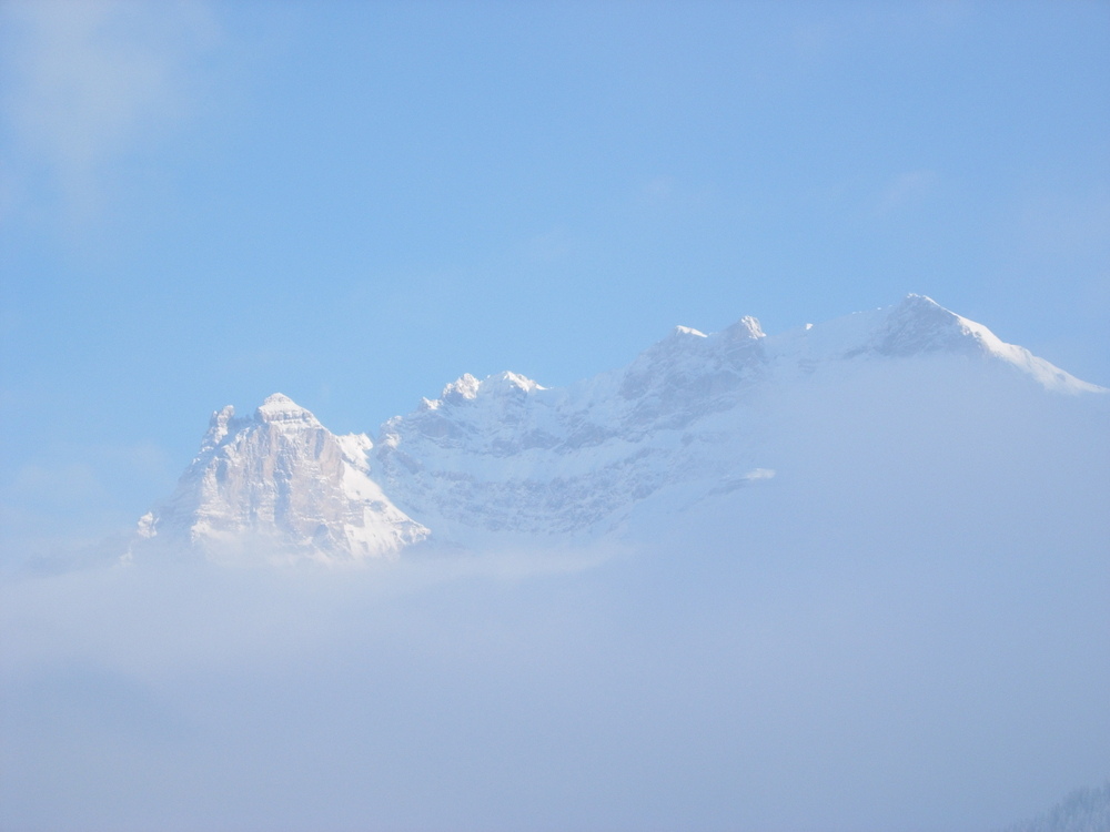 Aus dem Nebel steigend