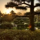 Aus dem Nordpark Düsseldorf