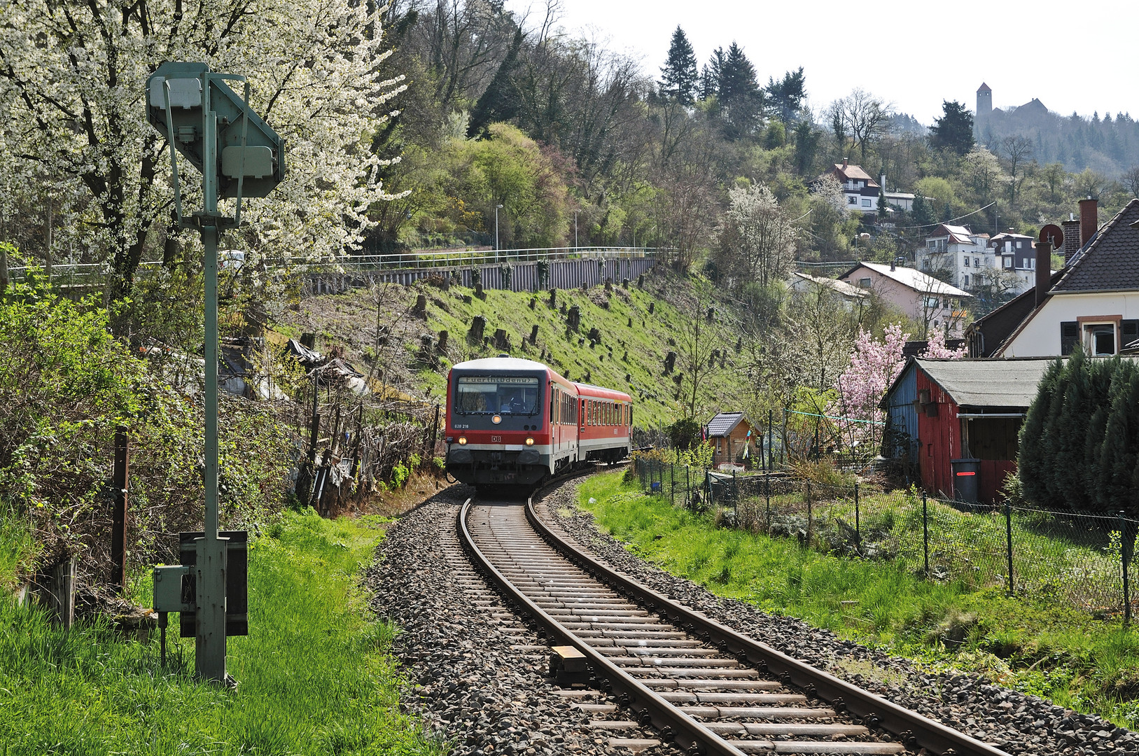 Aus dem Odenwald kommt er