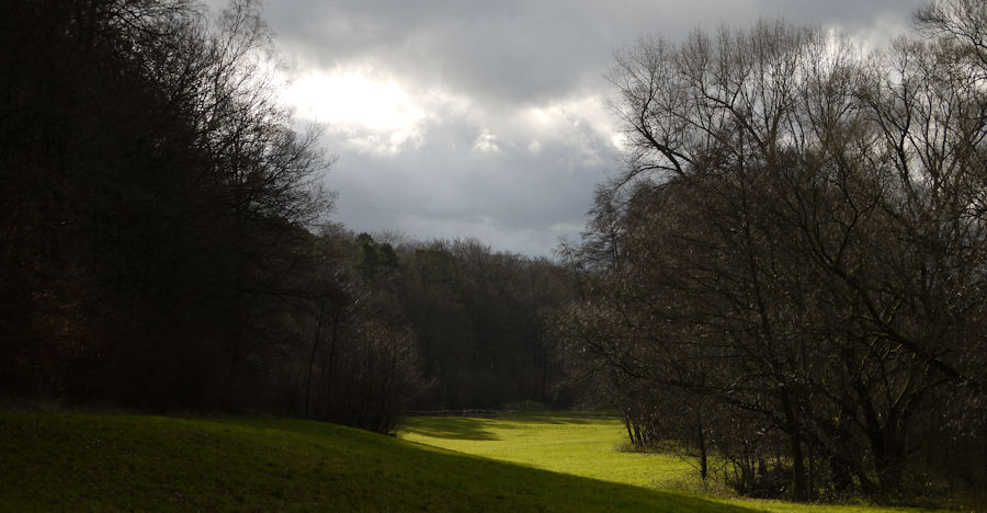 aus dem Schatten..