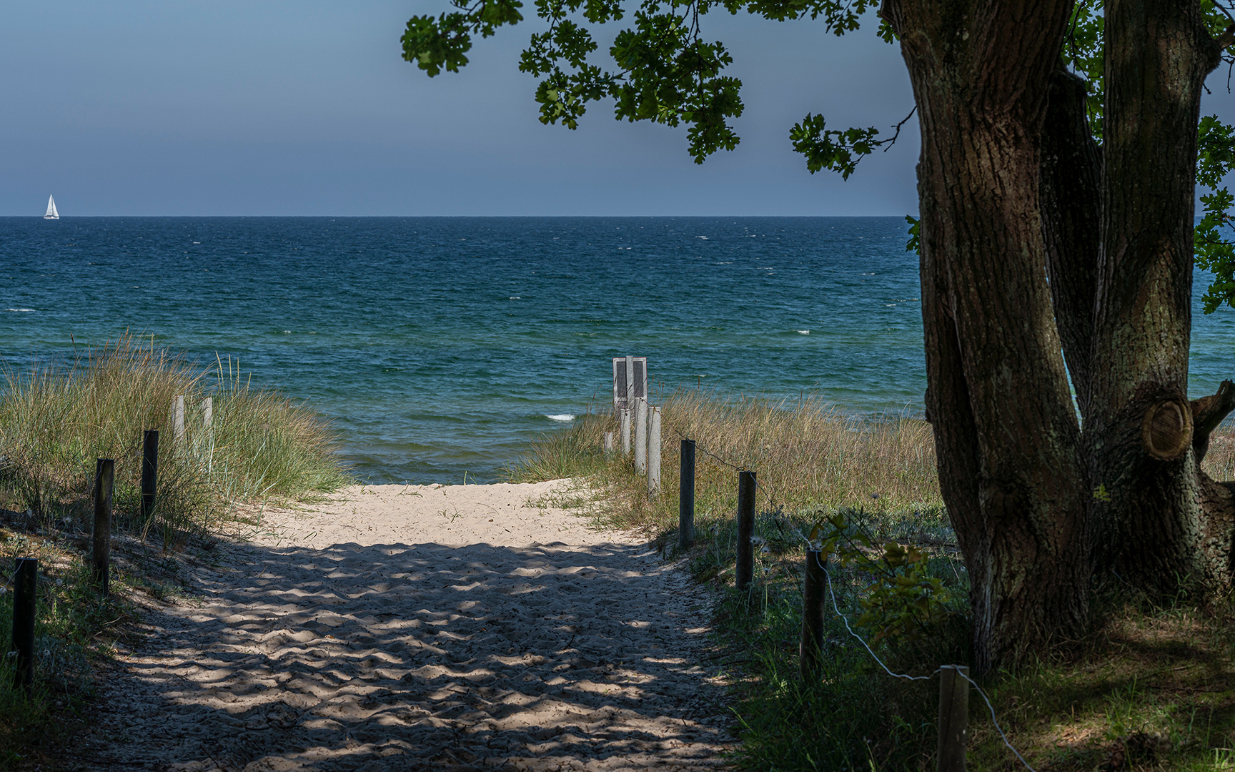 Aus dem Schatten ins Blau