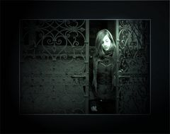 aus dem schatten ins licht