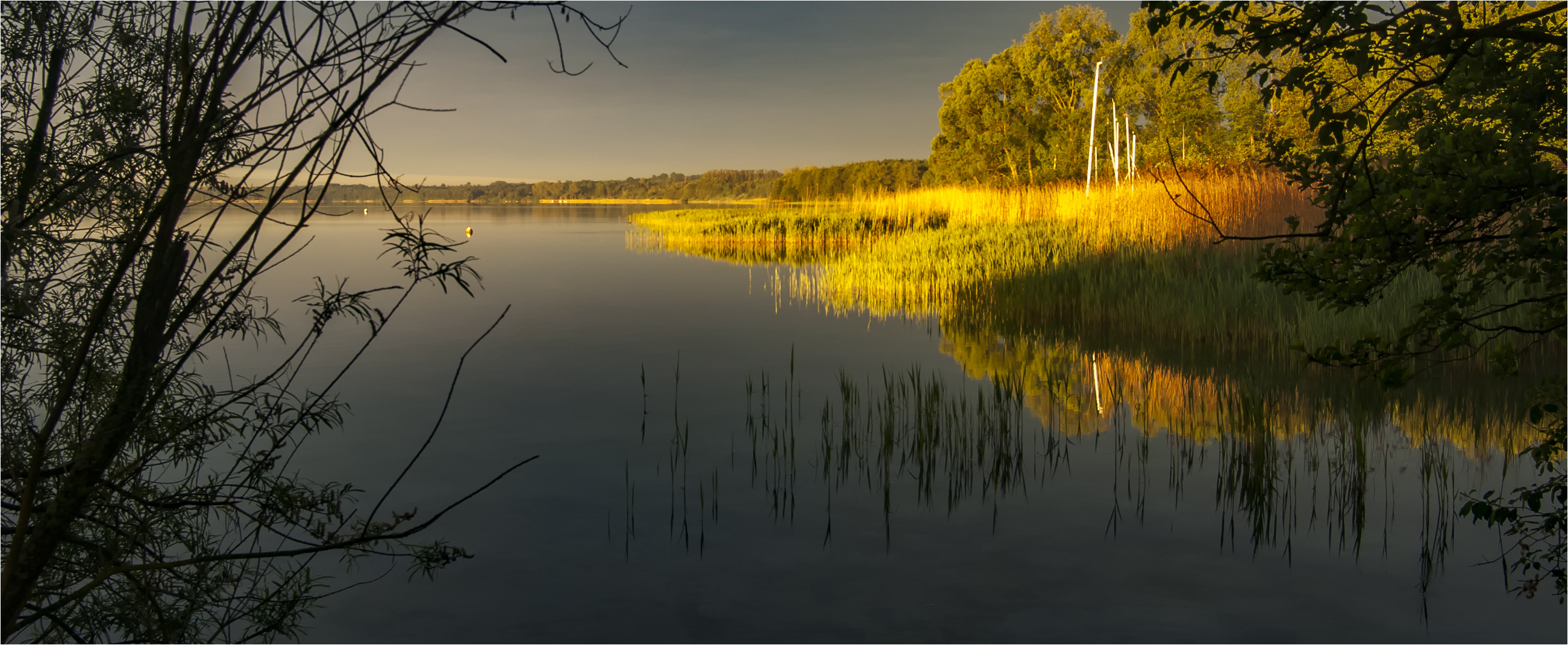 …. Aus dem Schatten ins Licht blicken …