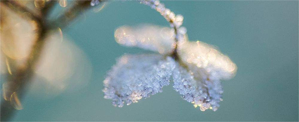 ... Aus dem Schatzkästlein der Schneekönigin ...