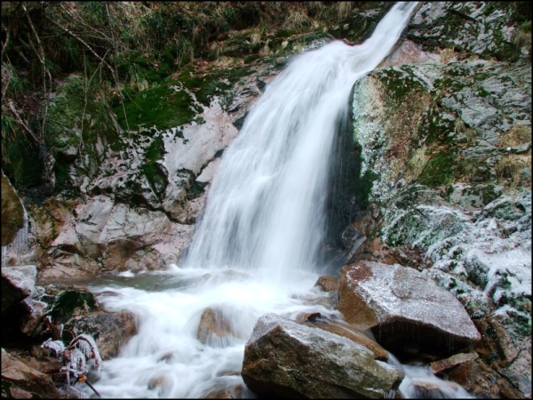 Aus dem Schwarzwald