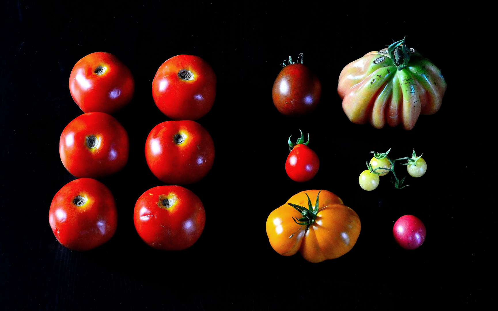 aus dem Supermarkt –––– aus dem Garten