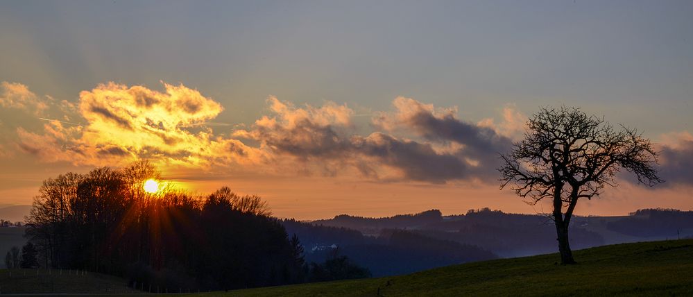 Aus dem Tal steigt der Nebel.....