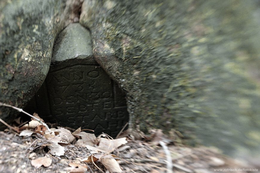 Aus dem Tod erwächst neues Leben